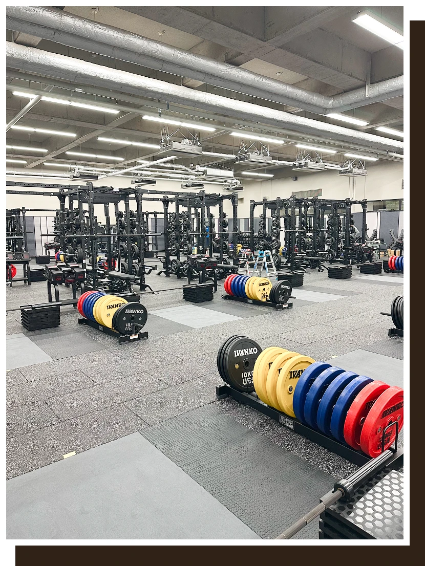 プロスポーツ現場